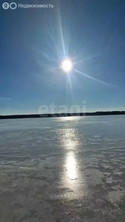 Участок в Нижегородская область, муниципальный округ Навашинский, село ... - Фото 2