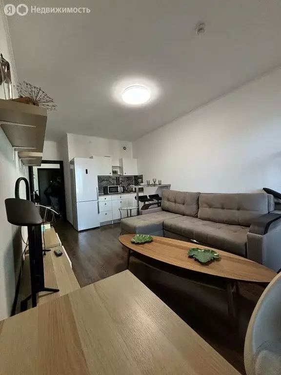 Квартира-студия: Санкт-Петербург, Плесецкая улица, 20к1 (25 м) - Фото 1