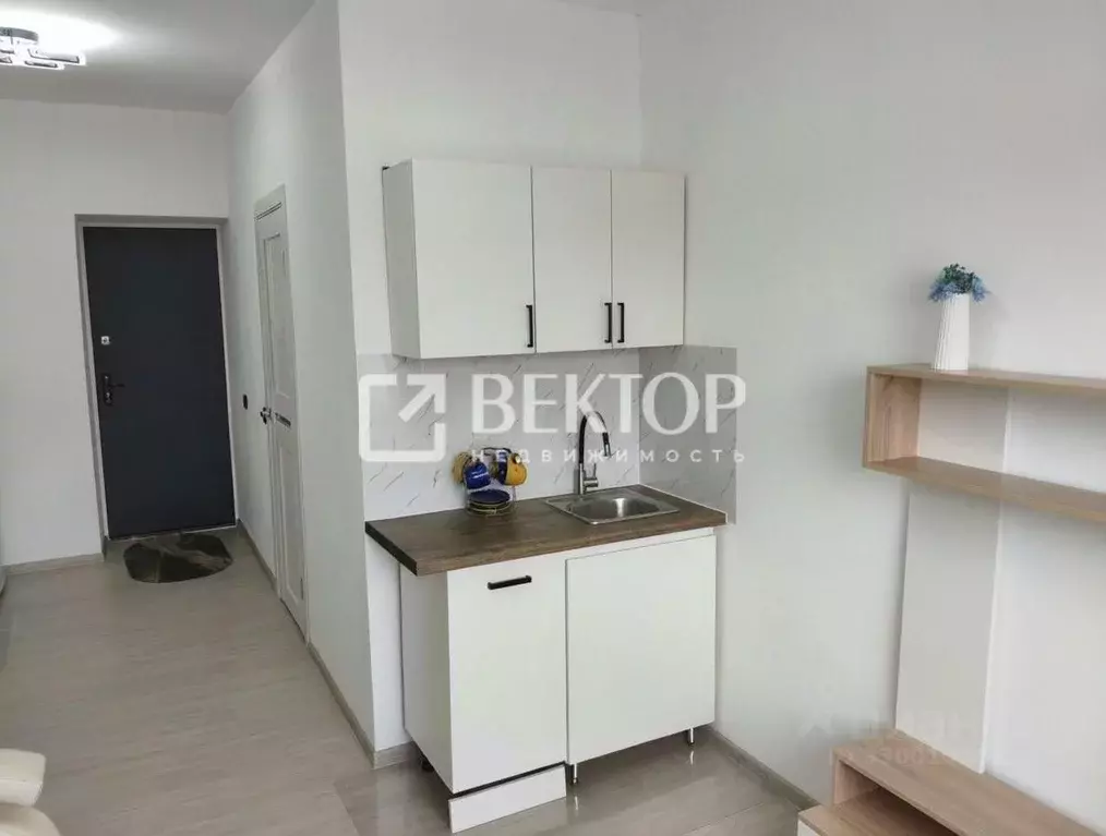 1-к кв. Костромская область, Кострома Центральная ул., 48 (19.0 м) - Фото 2