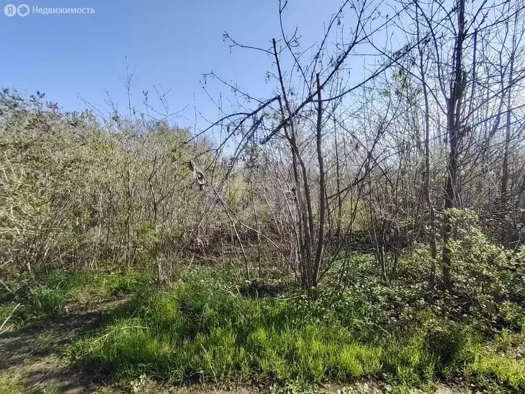 Участок в Новочеркасск, садовое товарищество Интеграл (7 м) - Фото 1