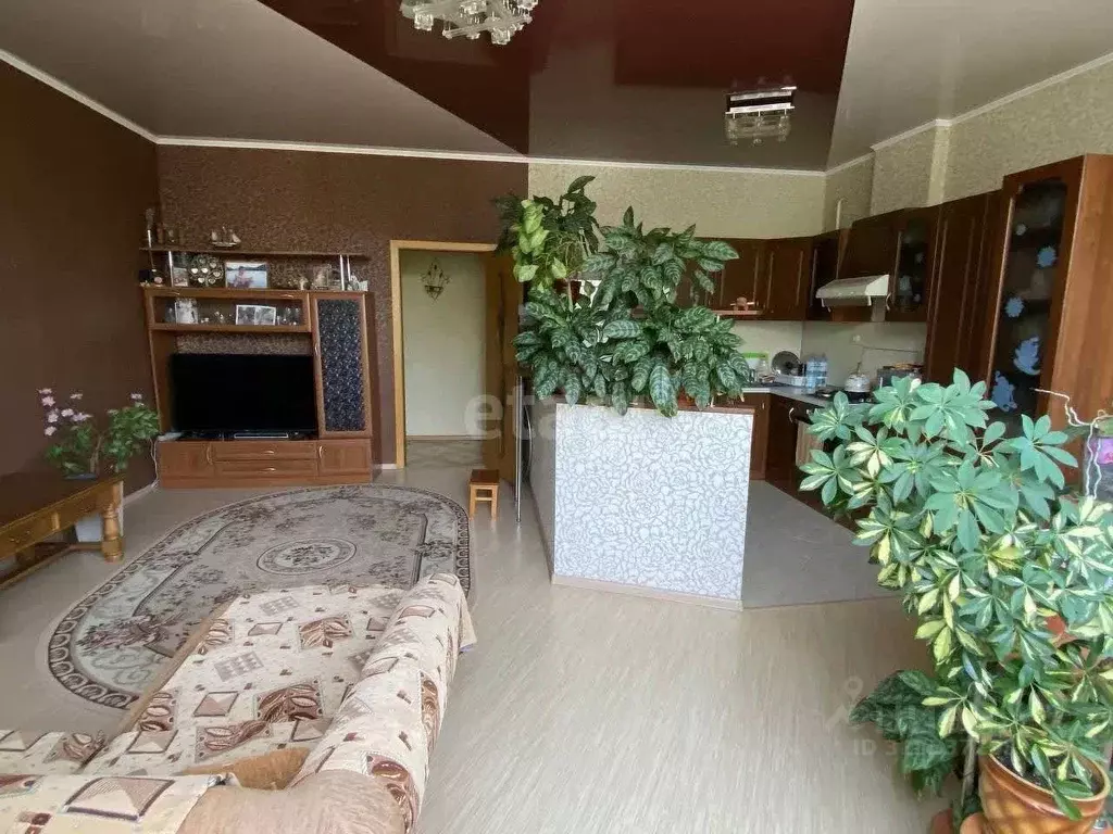 1-к кв. Краснодарский край, Новороссийск Цемдолина тер., ул. Надежды ... - Фото 0