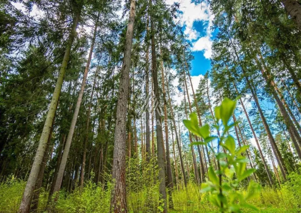 Участок в Московская область, Одинцовский городской округ, Тайм кп  ... - Фото 1
