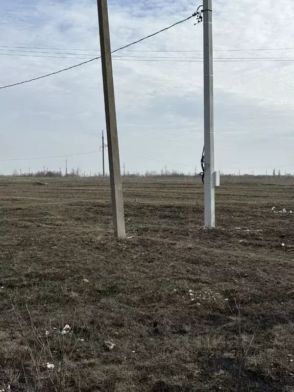 Участок в Саратовская область, Красноармейск Южный пер. (12.0 сот.) - Фото 2