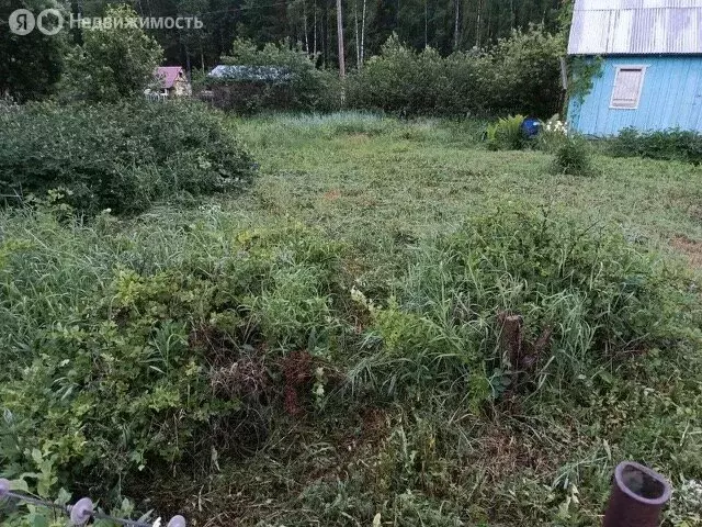 Дом в Киров, СДТ Птицевод-2 (28 м) - Фото 2