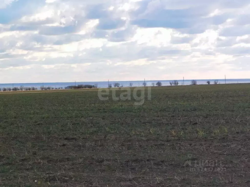 Участок в Крым, Черноморский район, Окуневское с/пос, с. Громово  ... - Фото 0