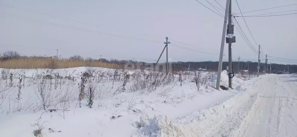 Участок в Ставропольский край, Ставрополь Виктория садовое ... - Фото 0