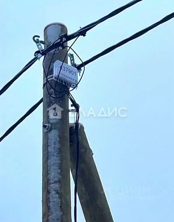 Участок в Карелия, Пряжинский район, Чалнинское с/пос, д. Виданы  ... - Фото 2