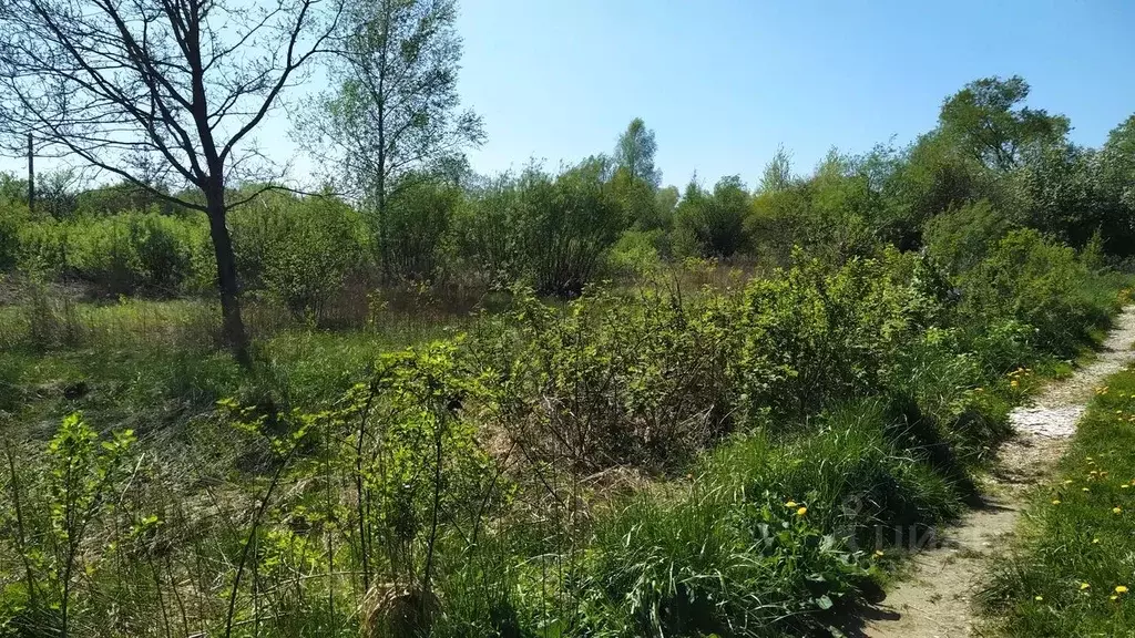 Участок в Калининградская область, Калининград Балтиец СНТ, проезд ... - Фото 0