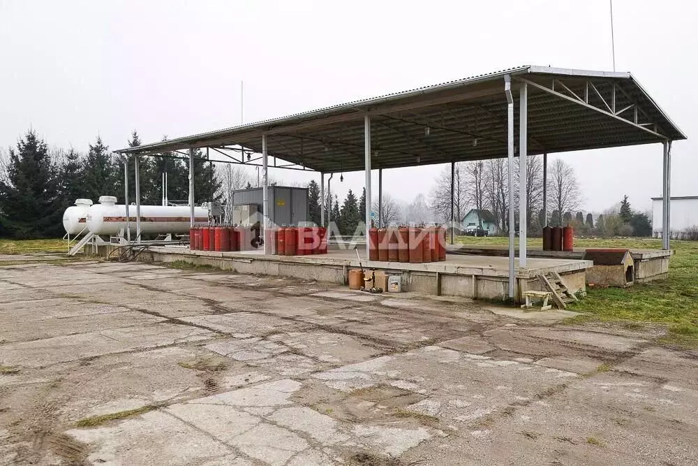 Производственное помещение в Калининградская область, Гурьевский ... - Фото 0