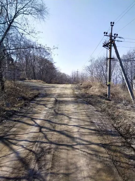 Участок в Приморский край, Партизанский муниципальный округ, с. ... - Фото 0