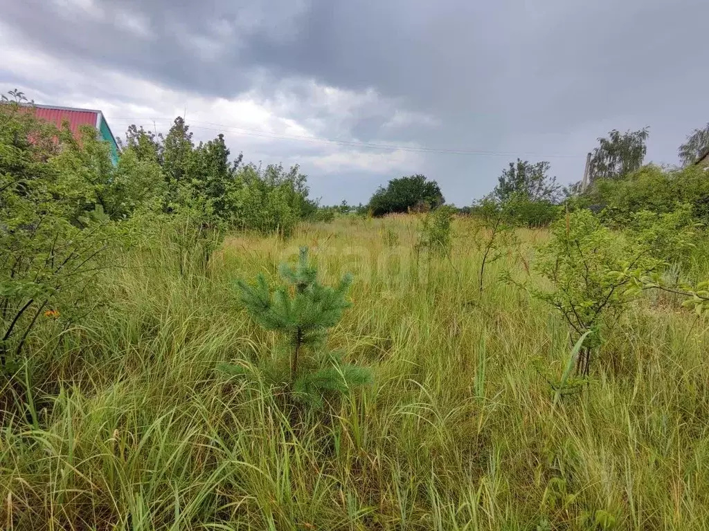 Участок в Воронежская область, Воронеж Домостроитель-1 СНТ,  (6.0 ... - Фото 1