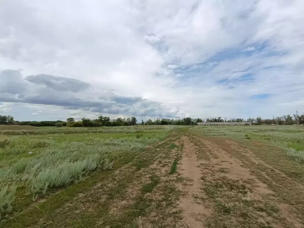 Участок в Оренбургская область, Оренбург городской округ, пос. ... - Фото 2