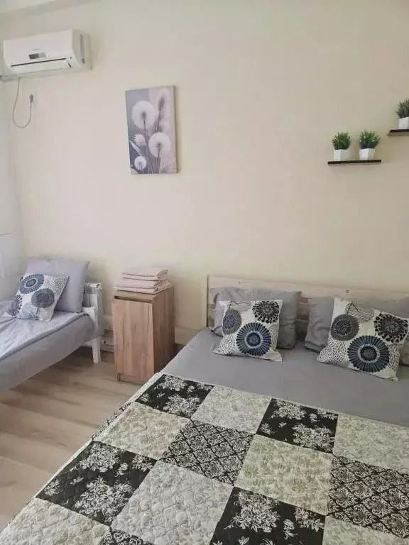 1-к кв. Краснодарский край, Сочи Курортный просп., 75к1 (21.0 м) - Фото 2