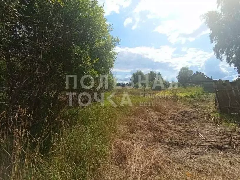 Участок в Новгородская область, Боровичский муниципальный округ, ... - Фото 2