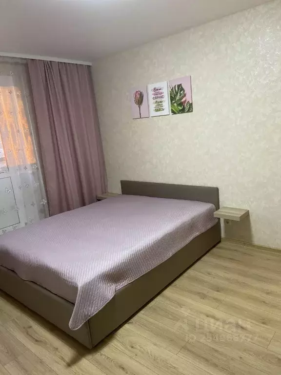 1-к кв. Санкт-Петербург Заневский просп., 42 (37.0 м) - Фото 0