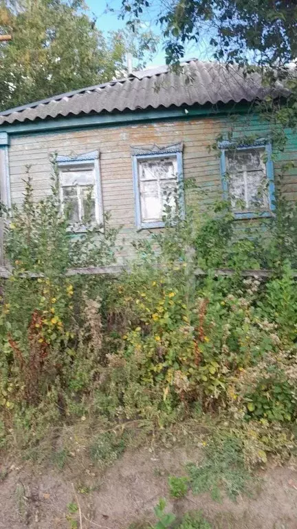 Дом в Белгородская область, Красногвардейский район, Веселовское ... - Фото 1