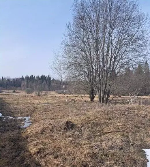 Участок в Московская область, Можайский муниципальный округ, д. ... - Фото 0