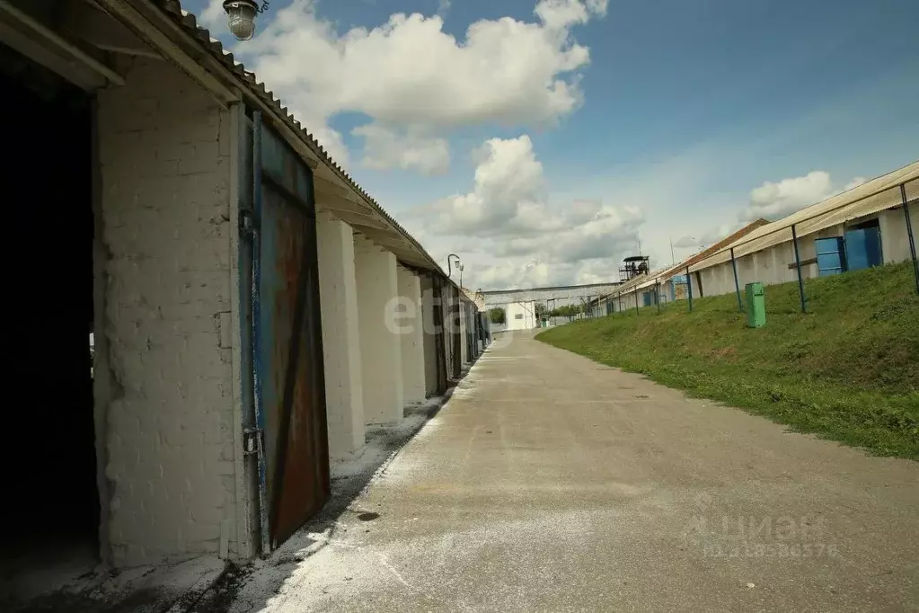 Склад в Белгородская область, Борисовский район, Хотмыжское с/пос, с. ... - Фото 2