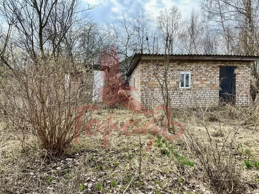 Участок в Орловская область, Орловский муниципальный округ, д. Коневка ... - Фото 1
