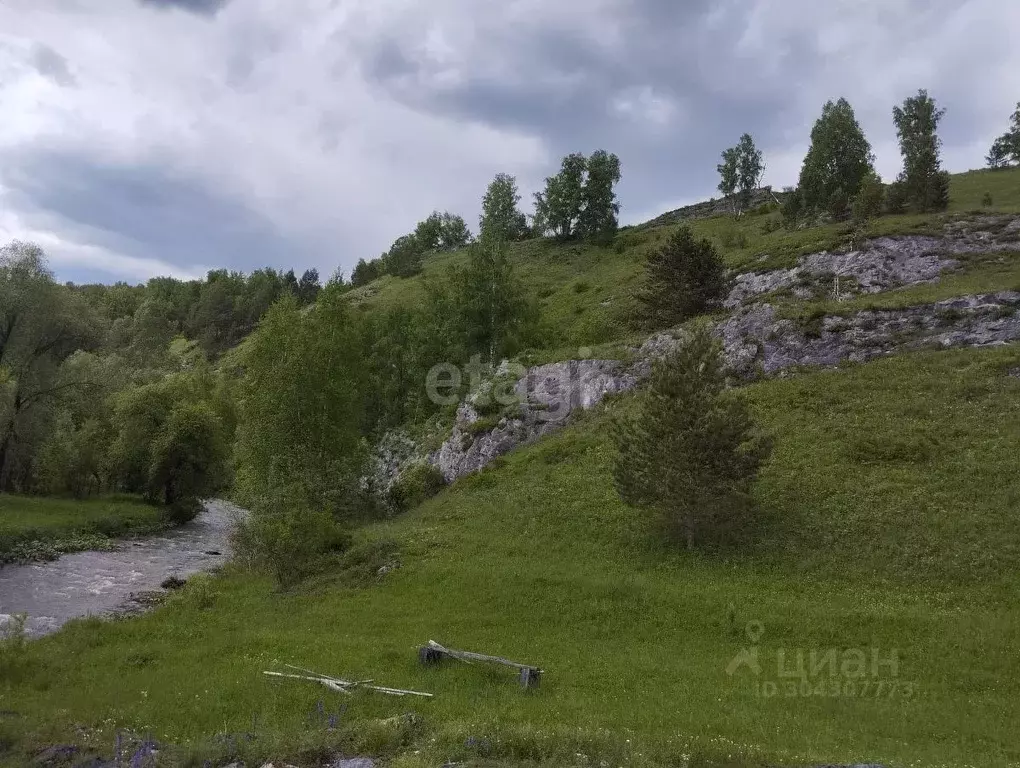 Участок в Алтайский край, Алтайский район, с. Нижнекаянча ул. ... - Фото 0