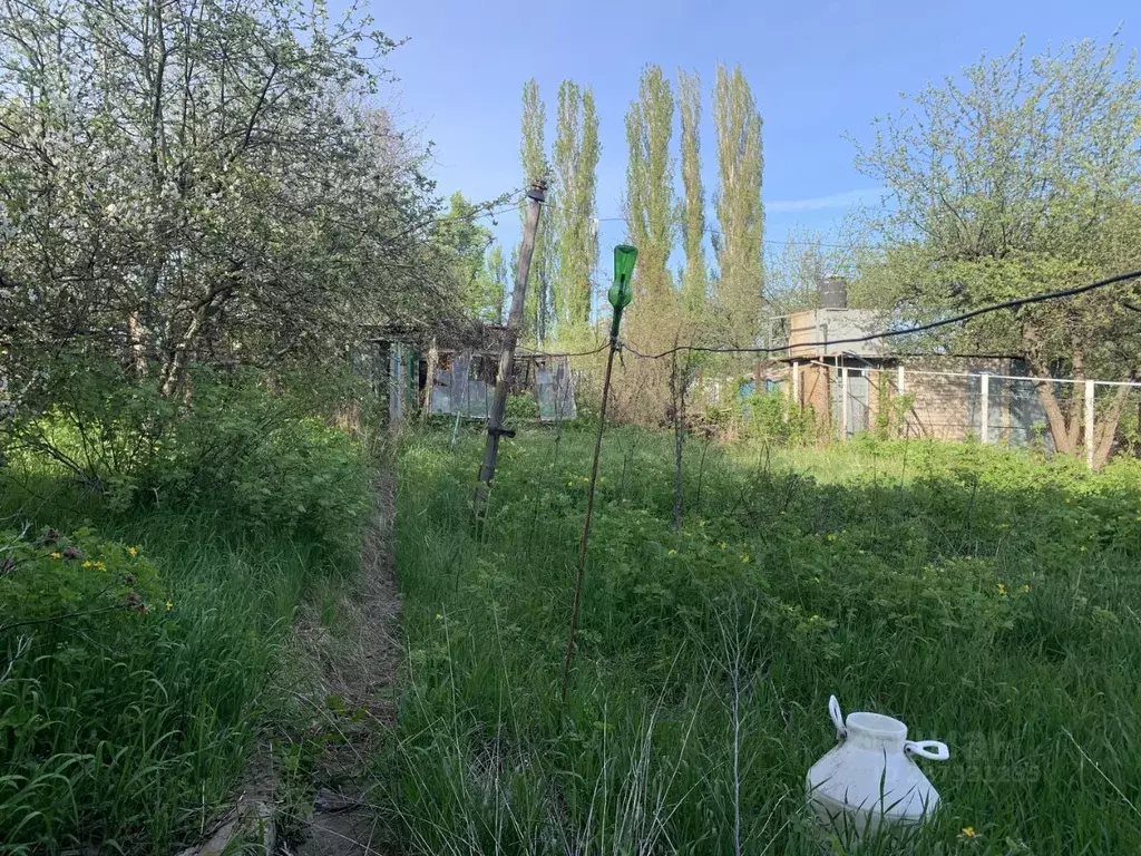 Дом в Воронежская область, Новоусманский район, Рождественско-Хавское ... - Фото 1