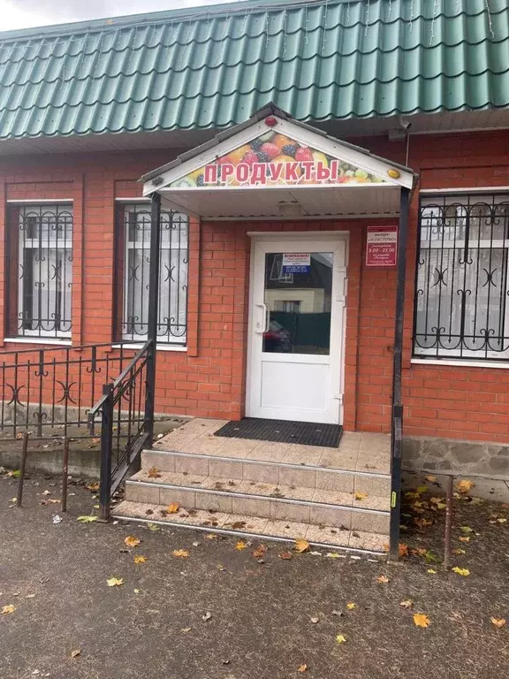 Помещение свободного назначения в Московская область, Воскресенск ... - Фото 1