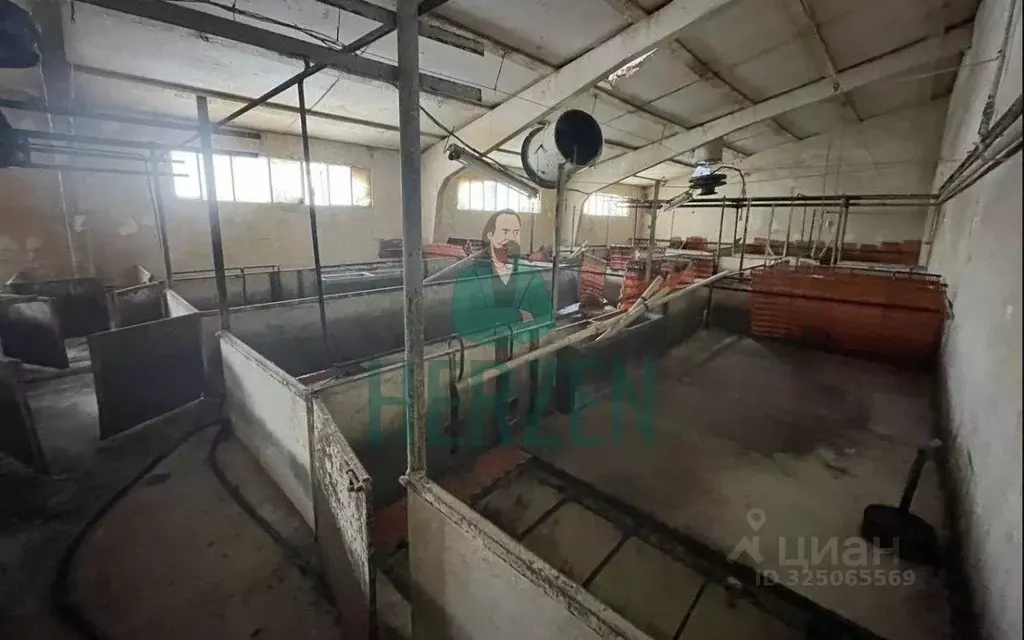 Производственное помещение в Москва д. Кузнецово,  (36000 м) - Фото 1