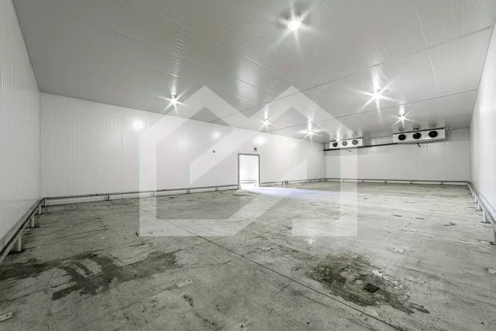 Помещение свободного назначения в Московская область, Раменское ул. ... - Фото 1