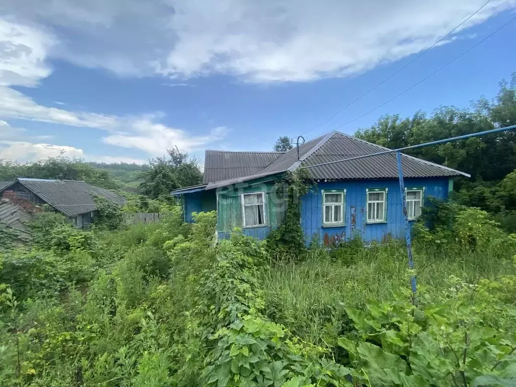 Дом в Белгородская область, Новооскольский муниципальный округ, с. ... - Фото 0