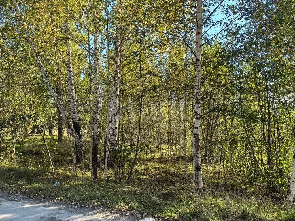 Участок в Свердловская область, Верх-Нейвинский пгт ул. Арапова, 100к6 ... - Фото 1