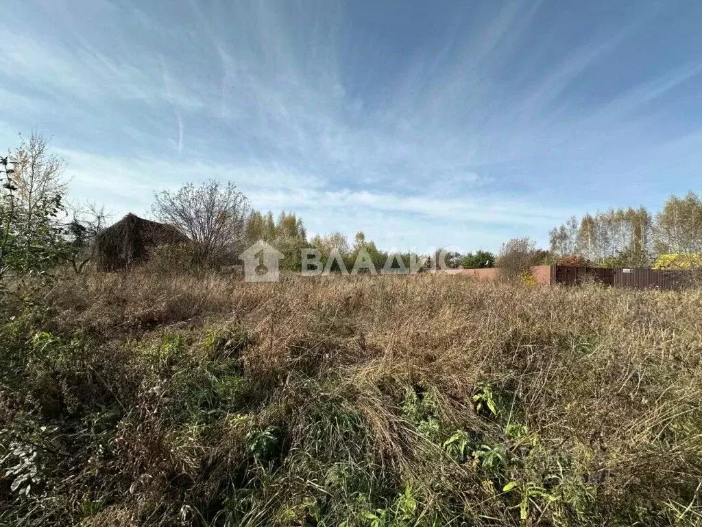 Участок в Владимирская область, Суздальский район, Селецкое ... - Фото 0