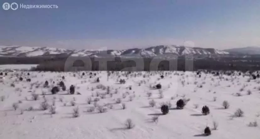 Участок в Айский сельсовет, территория Черемшанка (10 м) - Фото 2