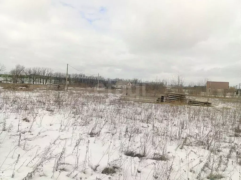 Участок в Белгородская область, Новый Оскол ул. Абрикосовая, 20 (15.0 ... - Фото 1