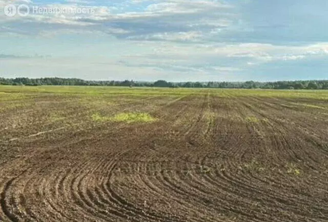 Участок в хутор Ленина, Севастопольская улица, 44 (147 м) - Фото 1