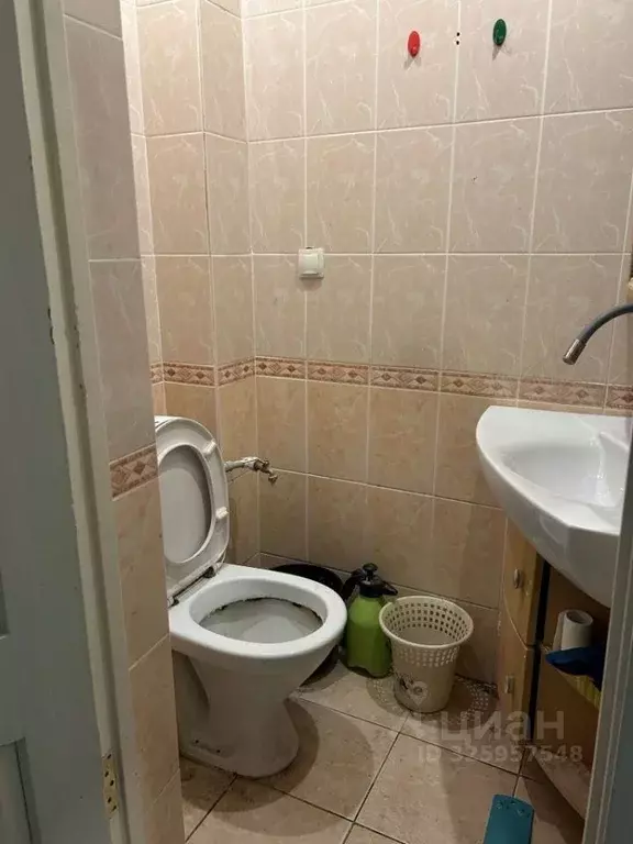 Торговая площадь в Белгородская область, Белгород ул. 50-летия ... - Фото 2