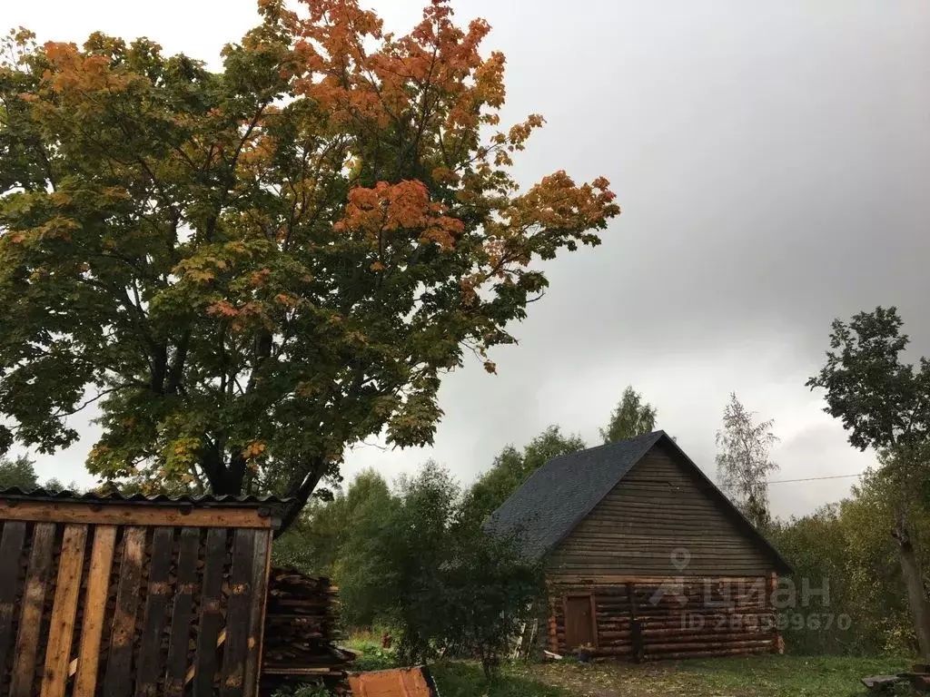 Дом в Новгородская область, Любытинское с/пос, д. Придорожная  (50 м) - Фото 2