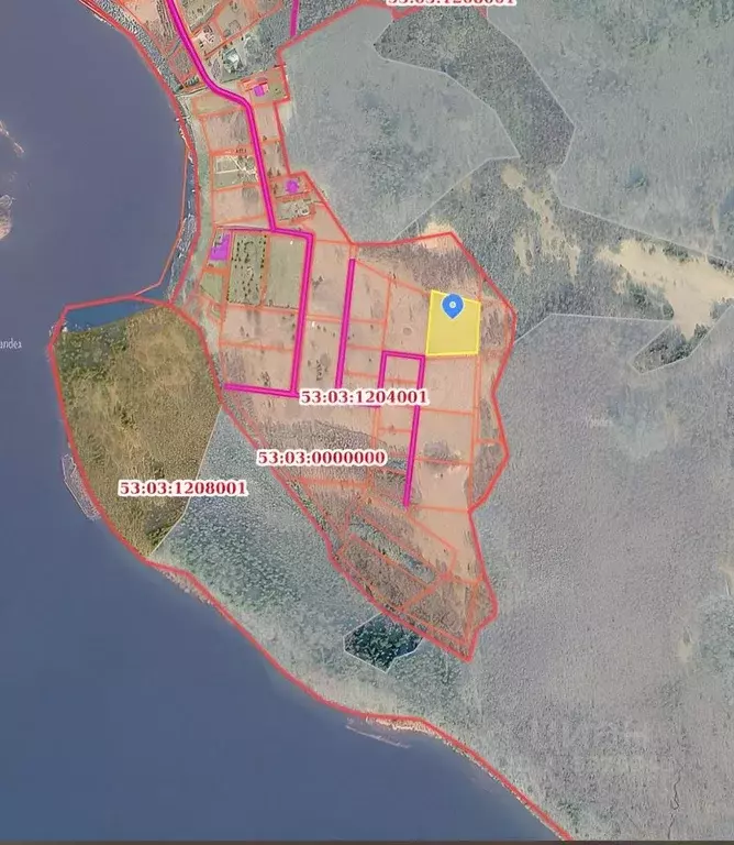 Участок в Новгородская область, Валдайский район, Рощинское с/пос, д. ... - Фото 2