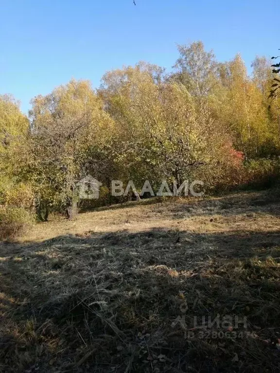 Дом в Нижегородская область, Нижний Новгород д. Чеченино, ул. Малая ... - Фото 2