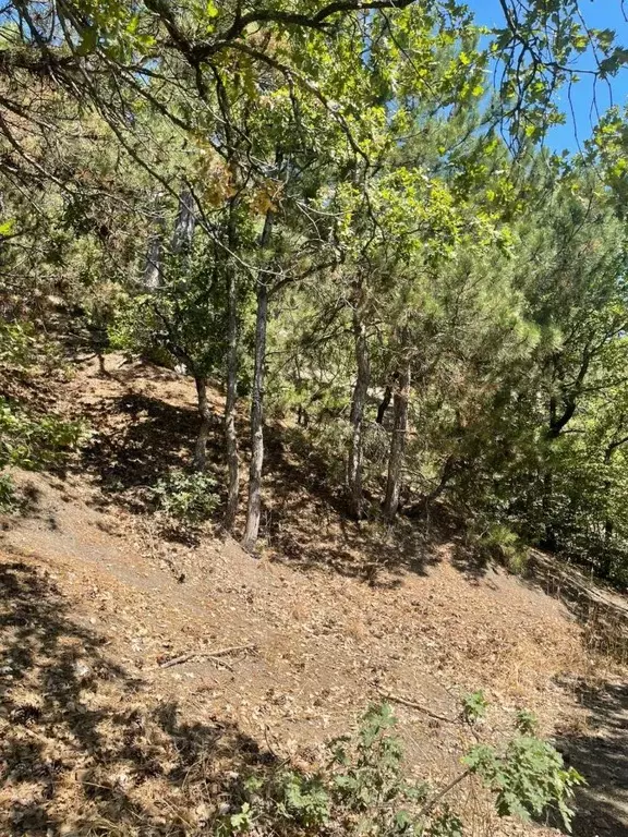 Участок в Крым, Ялта муниципальный округ, Массандра пгт ул. 16 Апреля ... - Фото 1