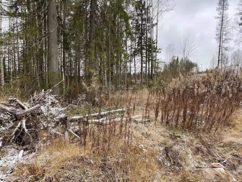 Участок в Коми, Сыктывкар Емваль мкр,  (14.0 сот.) - Фото 1