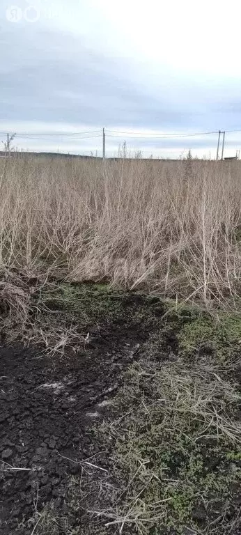 Участок в городской округ Ульяновск, село Лаишевка (10 м) - Фото 1