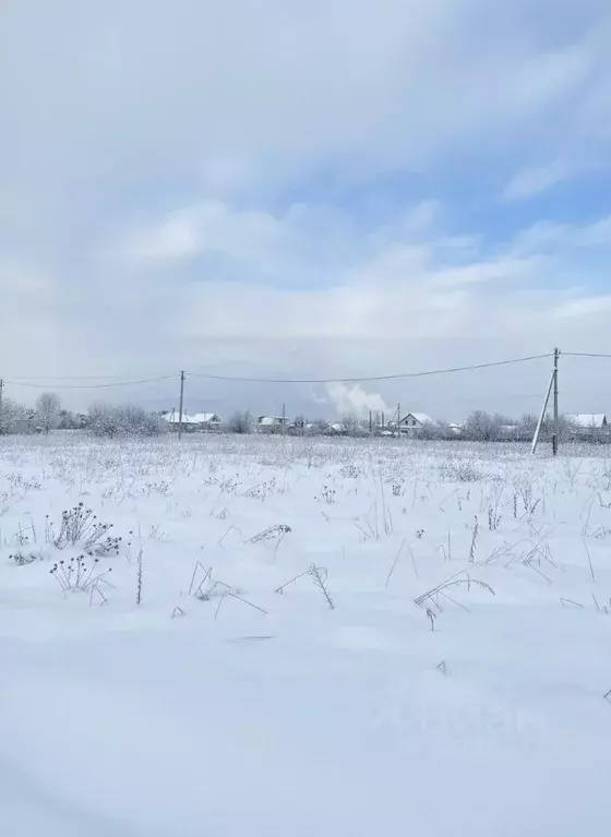 Участок в Оренбургская область, Оренбургский район, Красноуральский ... - Фото 2