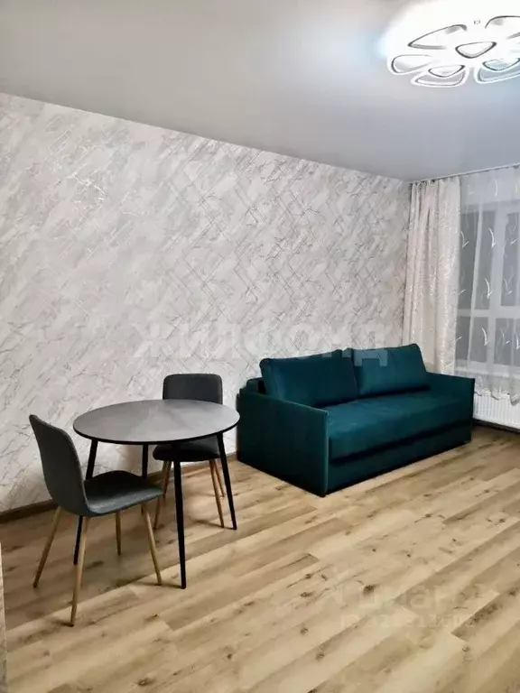 Студия Новосибирская область, Новосибирск ул. Ясный Берег, 27 (30.0 м) - Фото 2