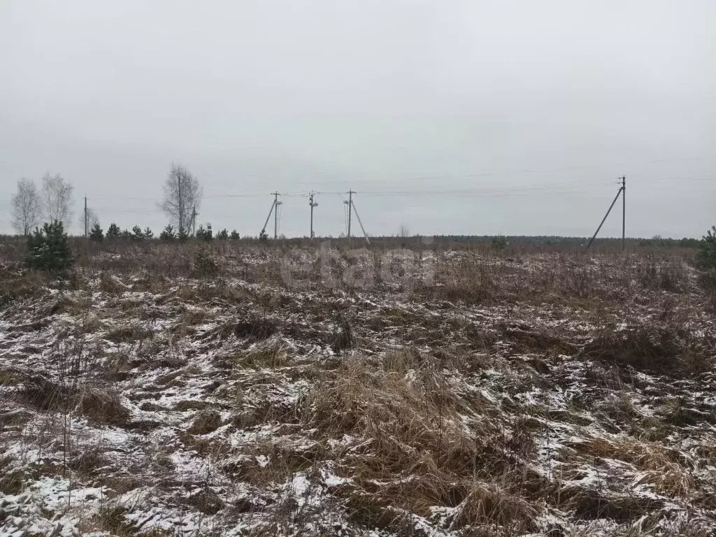 Участок в Калужская область, Перемышльский муниципальный округ Р-92, ... - Фото 2