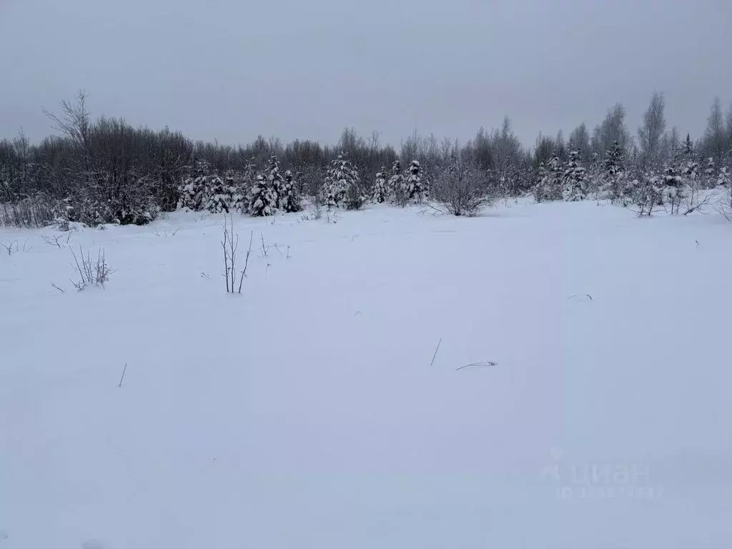 Участок в Московская область, Пушкинский городской округ, д. ... - Фото 1