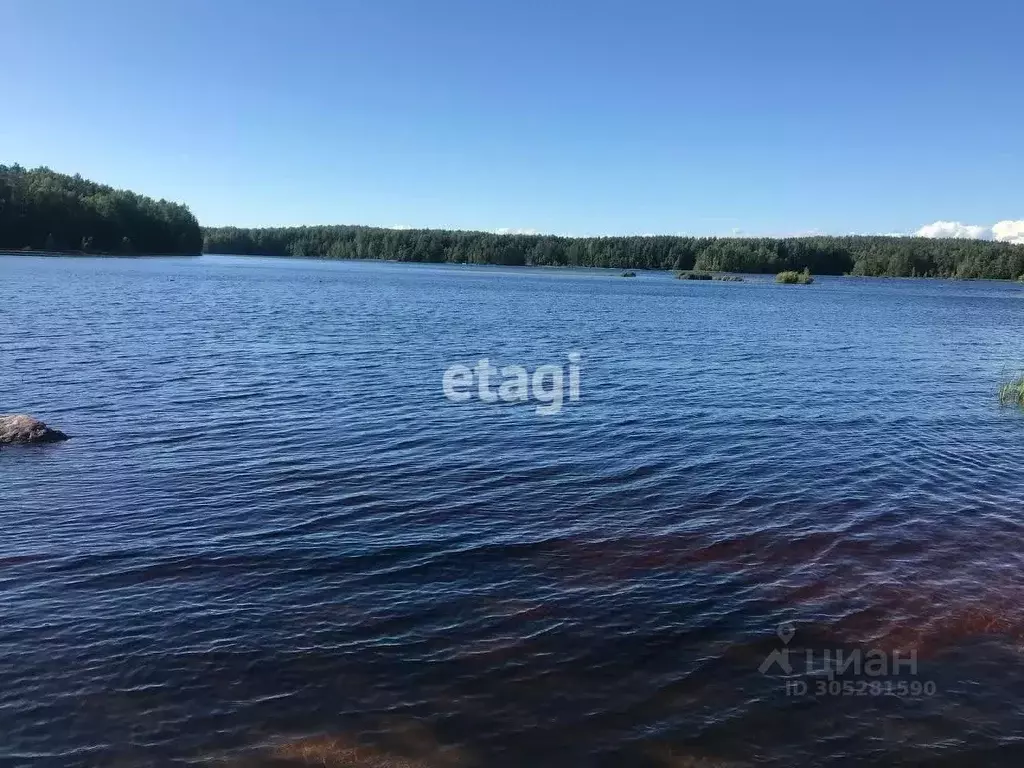 участок в ленинградская область, приозерский район, ромашкинское . - Фото 0