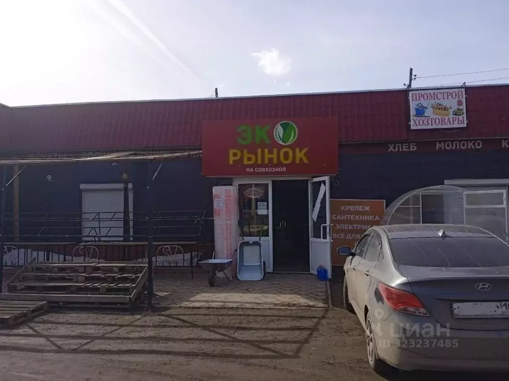 Торговая площадь в Удмуртия, Ижевск Совхозная ул., 113 (160 м) - Фото 1