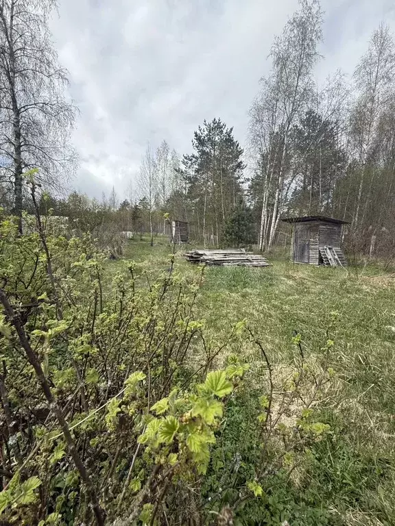 Дача 50 м на участке 12 сот. - Фото 1