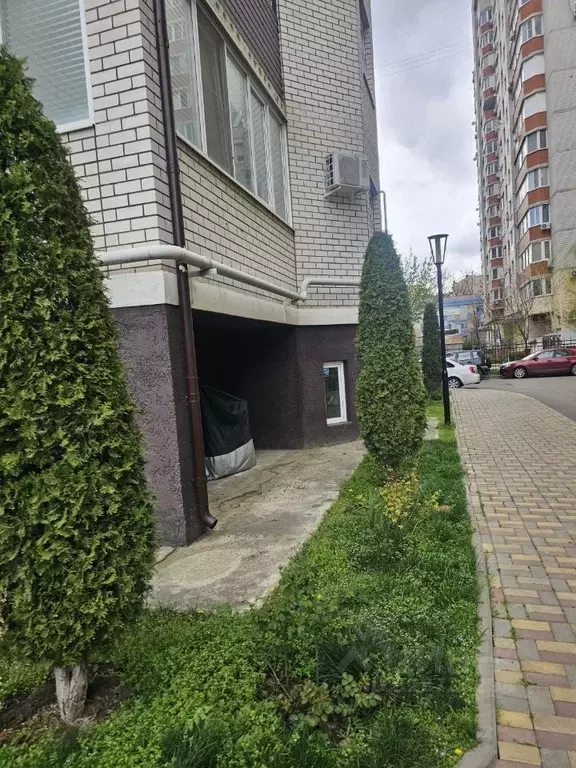 Помещение свободного назначения в Краснодарский край, Краснодар ... - Фото 1