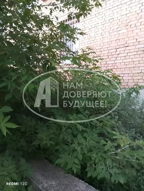 2-к кв. Удмуртия, Глазов ул. Калинина, 6б (49.2 м) - Фото 1